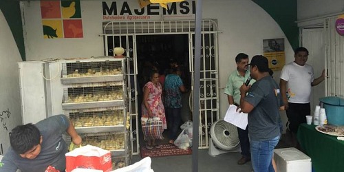 MAJEMSI DISTRIBUIDORA AGROPECUARIA PROVI