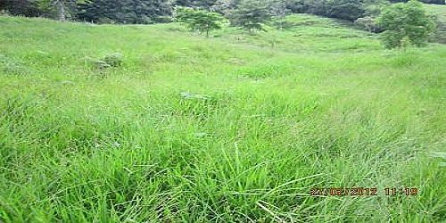 T. E. R. INMOBILIARIA