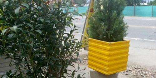 FABRICA DE MATERAS SOBRE MEDIDAS LOS GIRASOLES