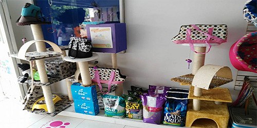 Cody Mascotas PetShop