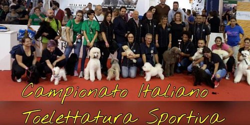 Quattrozampe Misterbianco