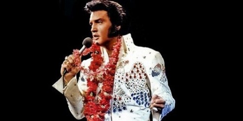 Blue Suede Heaven Johannesburg
