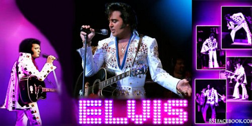 Blue Suede Heaven Johannesburg