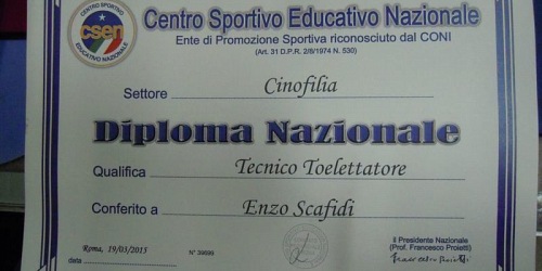 Quattrozampe Misterbianco