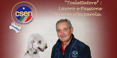 Quattrozampe Misterbianco
