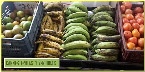 CARNES FRUTAS Y VERDURAS
