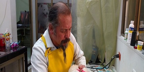 MI CACHORRO
