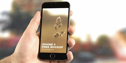 PUBLICIDAD EN INTERNET VALLES OCCIDENTAL