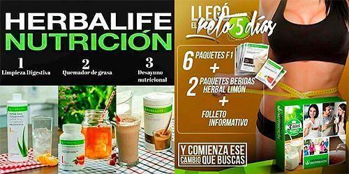 CLUB DE BIENESTAR CARTAGO
