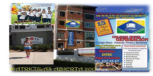 COLEGIO BILINGUE NUEVA GENERACION