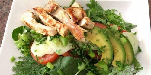 Fit Foods