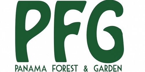 venta de Maquinas Echo y shindaiwa PFG Panamá