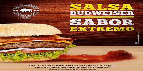 THE BUFFALO HOUSE CAÑAVERAL FLORIDABLANCA