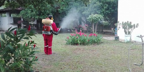 FUMIEXITO NEIVA