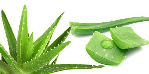 น้ำสำรอง ว่านหางจระเข้ ธัญพืชถั่ว 5 สี ปลีก-ส่ง ทั่วประเทศ