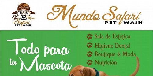 Mundo Safari Pet Wash