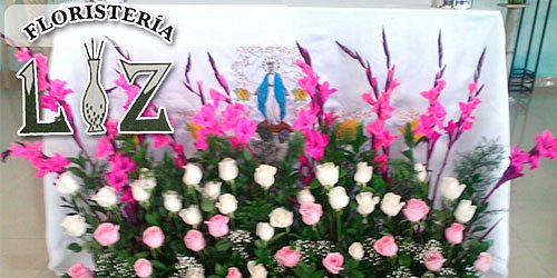 DISTRIBUIDORA Y FLORISTERIA LIZ