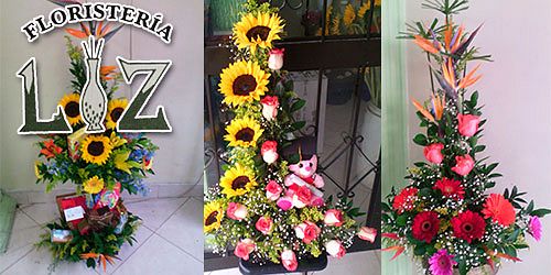 DISTRIBUIDORA Y FLORISTERIA LIZ