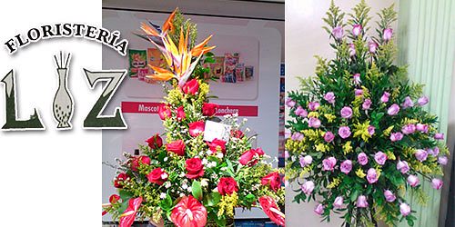 DISTRIBUIDORA Y FLORISTERIA LIZ