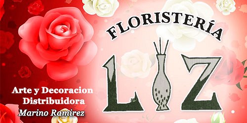 DISTRIBUIDORA Y FLORISTERIA LIZ