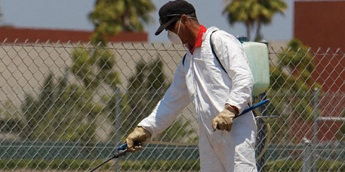 NNC Pest Control Centurion / Midrand