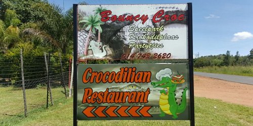 Bouncy Croc