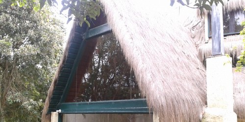 Casallas Finca Raiz
