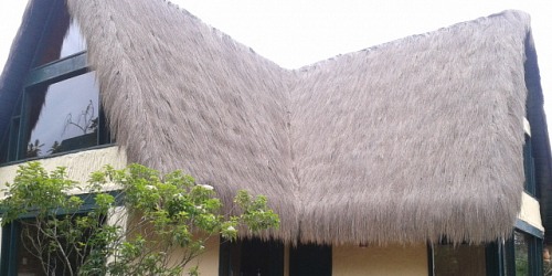 Casallas Finca Raiz
