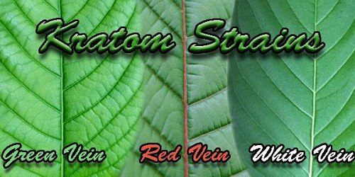 KRATOM JOHANNESBURG SOUTH AFRICA