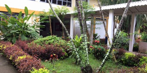 INSTITUTO TECNICO EDUCANDO A COLOMBIA