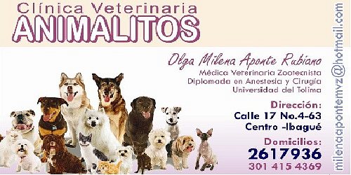 CLINICA VETERINARIA ANIMALITOS