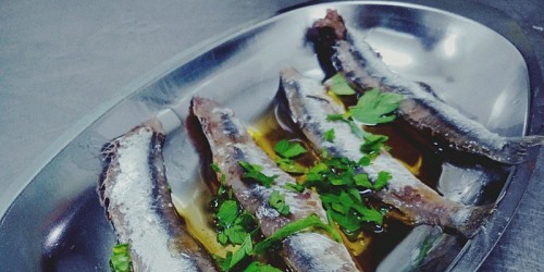 TRATTORIA IL PESCATORE