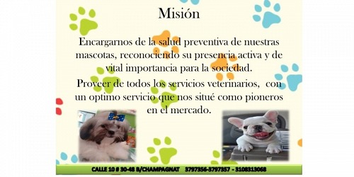 Centro Veterinario Razas Sas