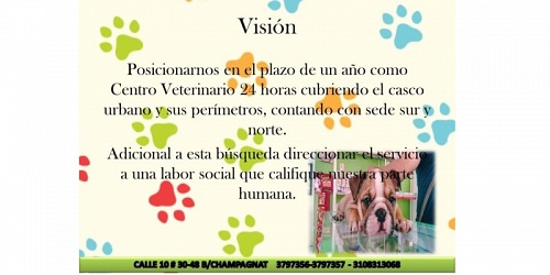 Centro Veterinario Razas Sas