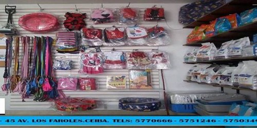 Perros & gatos cucuta clinica veterinaria
