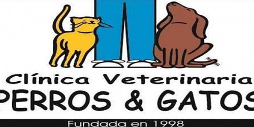Perros & gatos cucuta clinica veterinaria