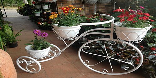 VIVERO Y ARTESANIAS JARDIN DEL LLANO