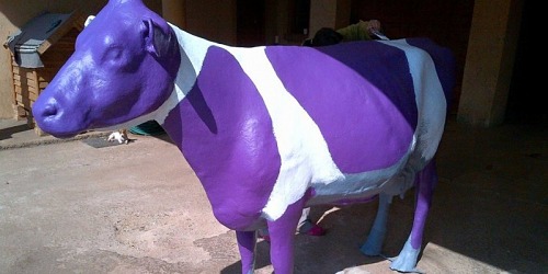 Creative Fibreglass Technologies