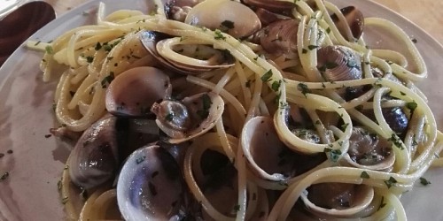 la ginestra pizzeria ristorante