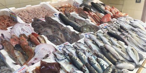 pescheria bongiorno giuseppe