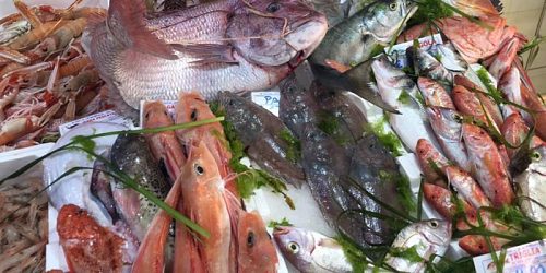 pescheria bongiorno giuseppe