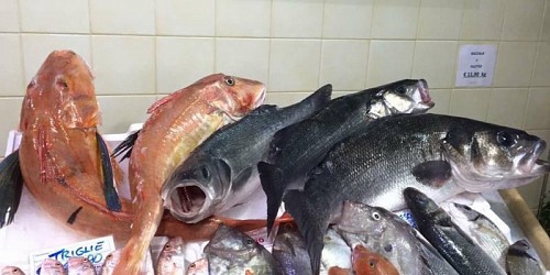 pescheria bongiorno giuseppe