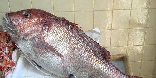 pescheria bongiorno giuseppe