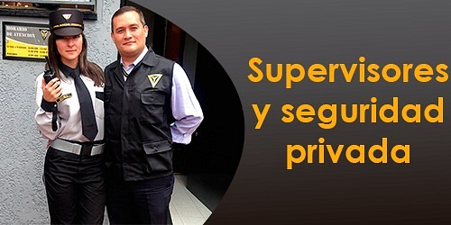 SEGURIDAD MAGISTRAL