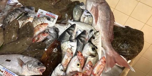 xacca mare pescheria