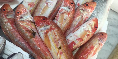 xacca mare pescheria
