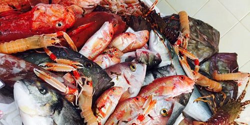 xacca mare pescheria