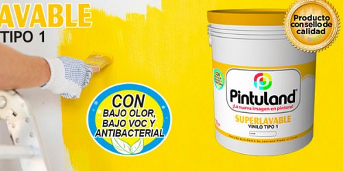 CASA PINTUCO 