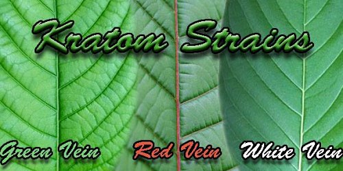 KRATOM CAPE TOWN SOUTH AFRICA