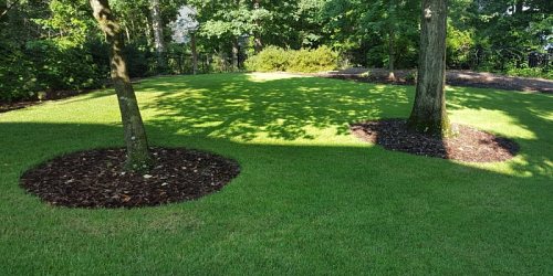Extreme Lawns